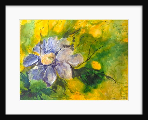 clematis in the evening sun, 2017 by Mary Smith