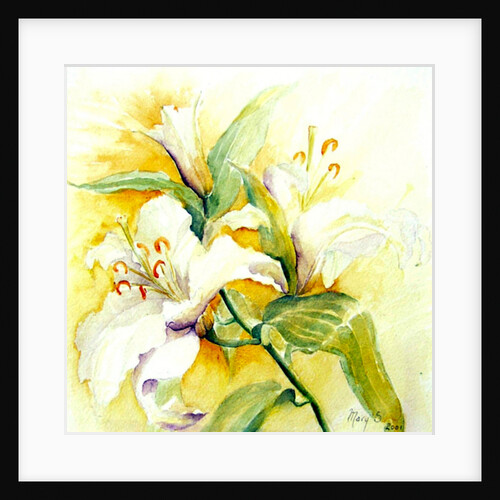 white lilies, 2017 by Mary Smith