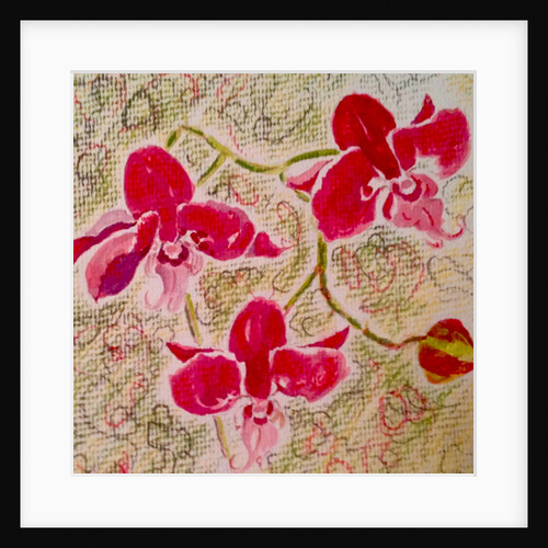 orchids, 2017 by Mary Smith