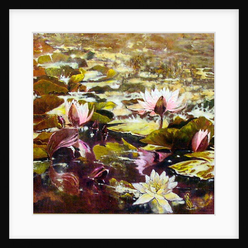 Lilies in Melbourne gardens by Mary Smith