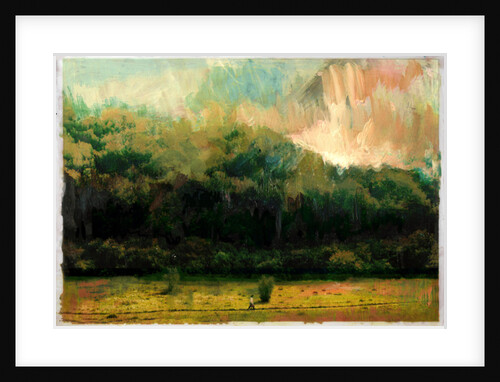 Oakridge Woods 2015 by David McConochie