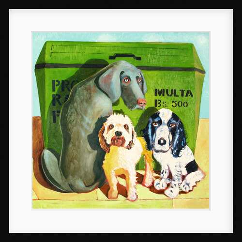 se Pagan Multas, 2007 by Thomas MacGregor