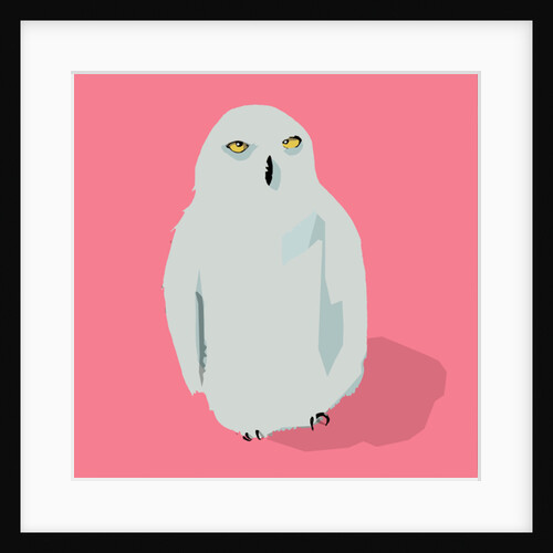 Owl, 2017 by Thomas MacGregor