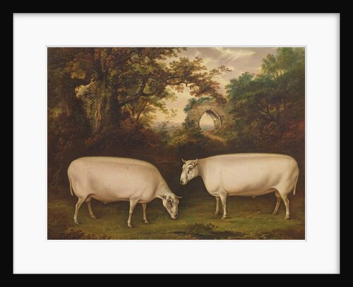 Two Prize Border Leicester Rams in a Landscape, 1800 by Thomas Weaver