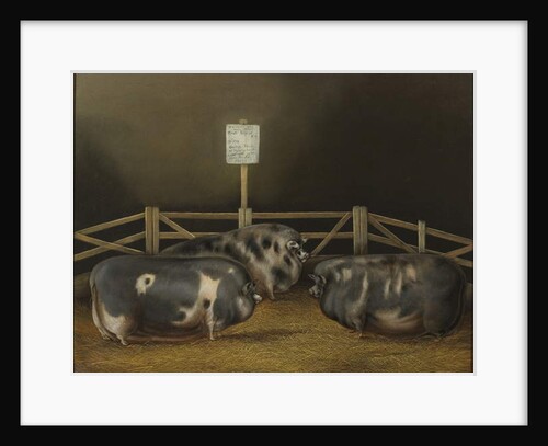 First prize at Smithfield Club Show £10 by John Vine