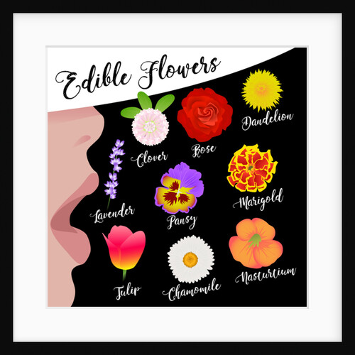 Edible Flowers, 2017 by Claire Huntley