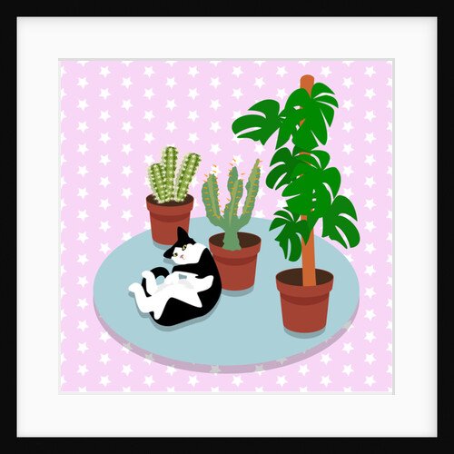 The Cat and the Cacti, 2017 by Claire Huntley