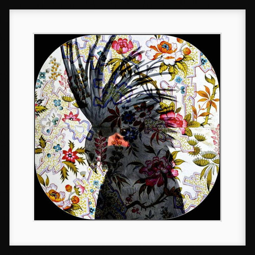 Black Parrot, 2017 by Linda Arthurs