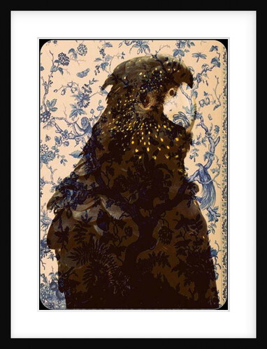 Black parrot 2, 2017 by Linda Arthurs