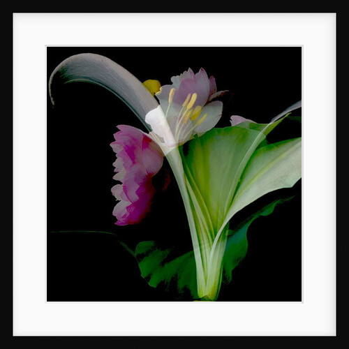Flower Collage, 2018 by Linda Arthurs