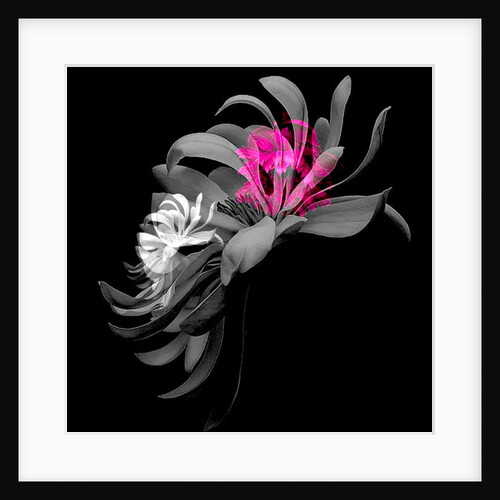 SPRING FLOWER COLLAGE, 2018 by Linda Arthurs