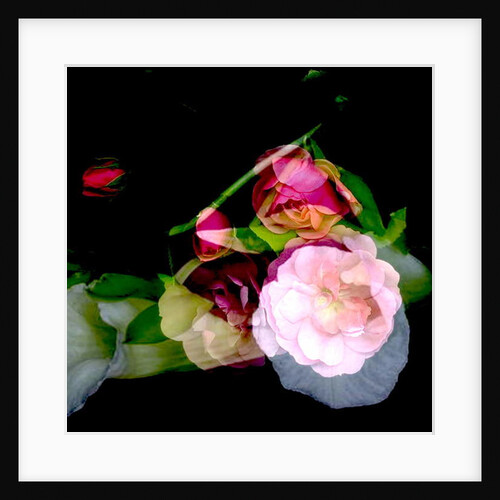 MY MUM'S FLOWER, 2017 by Linda Arthurs