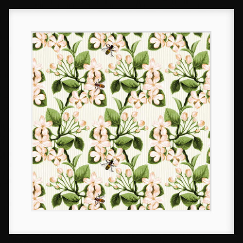 Crab Apple Blossom and Honey Bee, 2017 by Andrew Watson