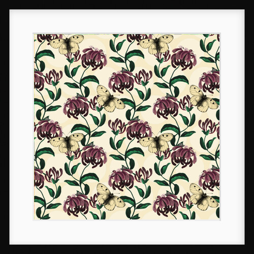 Honeysuckle with Clouded Apollo-light, 2017 by Andrew Watson