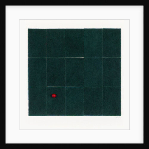 Kitchen scourers, 2013 by Alex Dunn