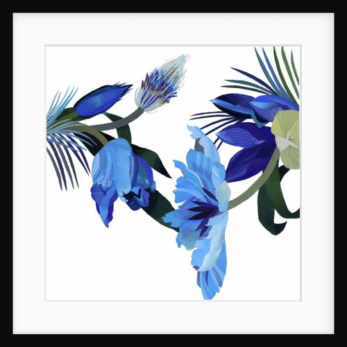 Two blue tulips by Hiroyuki Izutsu