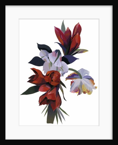 Flower drawn in red color by Hiroyuki Izutsu