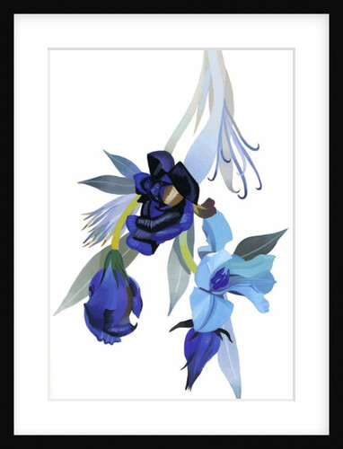 Flower drawn with blue tone by Hiroyuki Izutsu