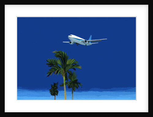 Airplane and palm tree, 2016 by Hiroyuki Izutsu