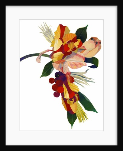 Tulip parrot1 by Hiroyuki Izutsu