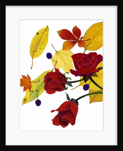 Autumn leaves and rose by Hiroyuki Izutsu