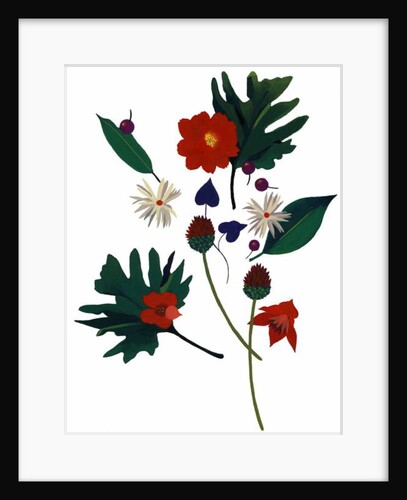 A flower that makes you imagine Christmas by Hiroyuki Izutsu