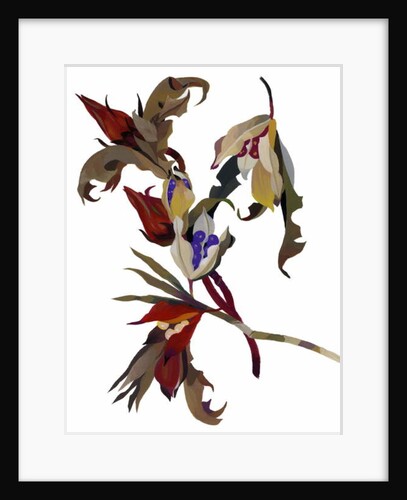 Winter-inspired flowers, 2003 by Hiroyuki Izutsu