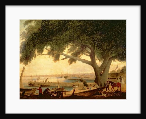 Penn's Treaty Tree by Thomas Birch