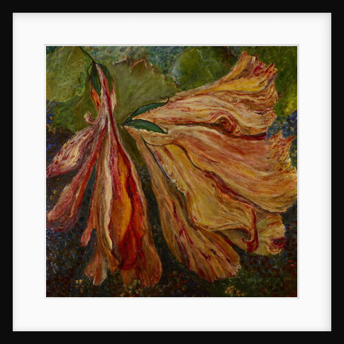 Hibiscus Wilt, 2017 by jocasta shakespeare