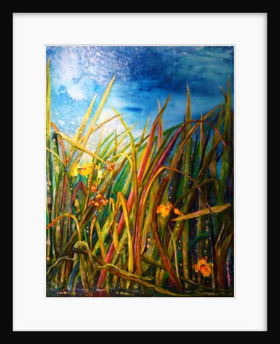 wild iris water snake, 2017 by jocasta shakespeare