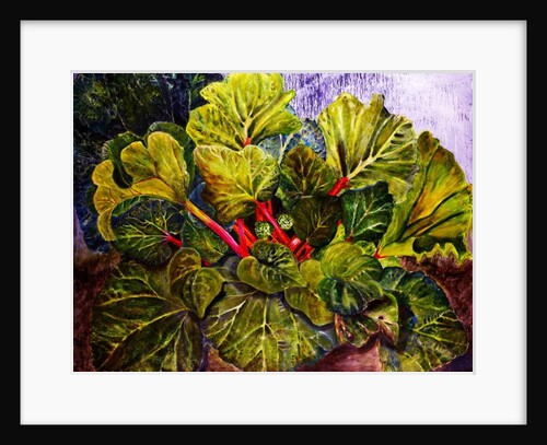 rhubarb, 2016 by jocasta shakespeare