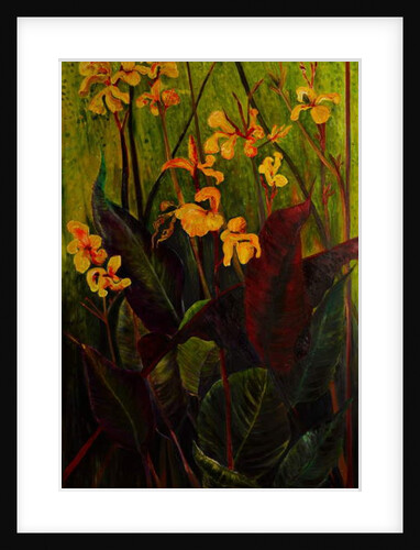 Canna Lily, 2017 by jocasta shakespeare