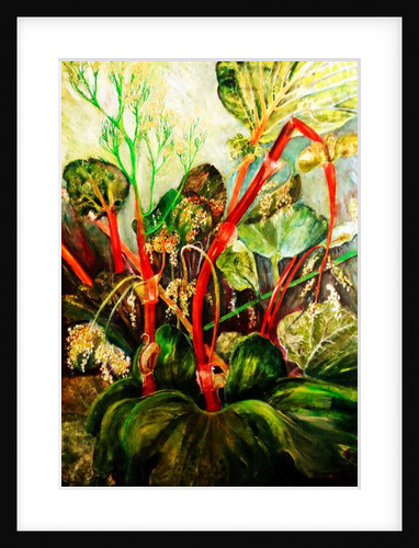 Flowering Rhubarb, 2018 by jocasta shakespeare