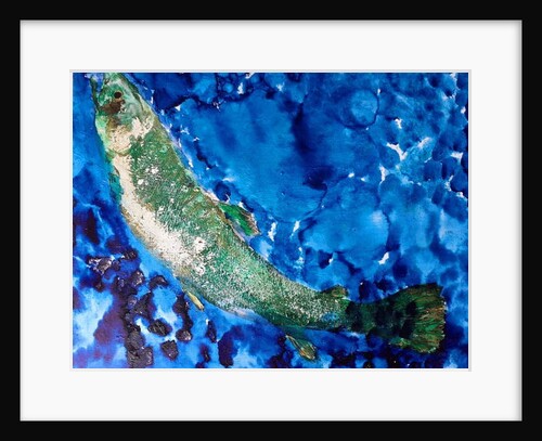 single Salmon with weed, 2019 by jocasta shakespeare