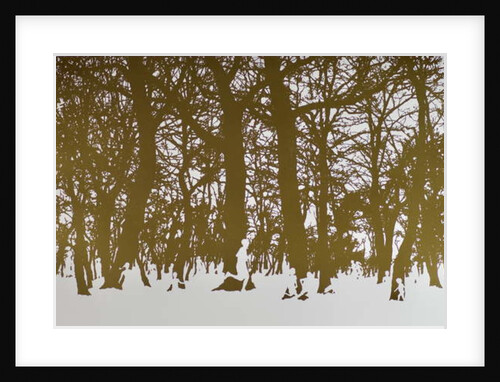 Trees of life, 2017 by Angus Hampel