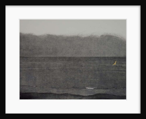 Silent flight, 2017 by Angus Hampel