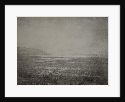 Play, 2017 by Angus Hampel