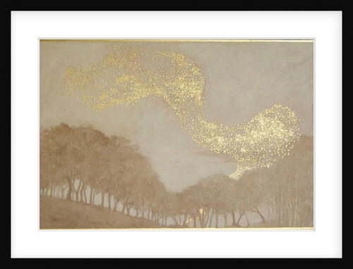 Murmuration of light, 2015 by Angus Hampel
