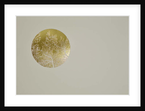 Silent olive, 2017 by Angus Hampel