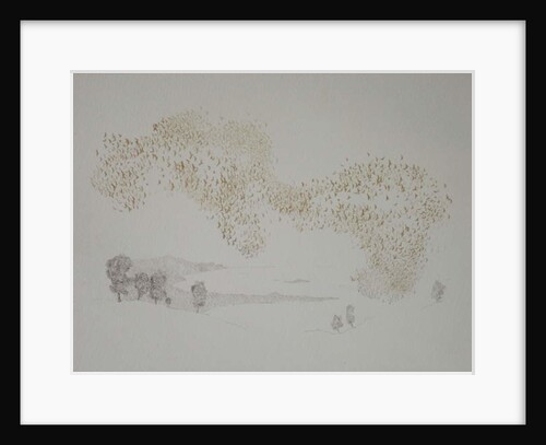 Sunbirds, 2016 by Angus Hampel