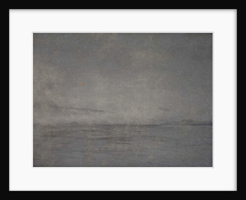 Soaring high, 2016 by Angus Hampel