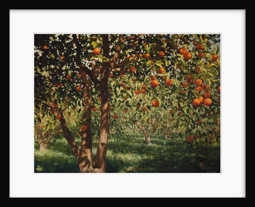 Silence under the oranges II, 2012 by Angus Hampel