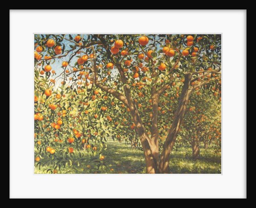 Silence under the oranges I, 2012 by Angus Hampel