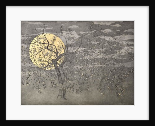 Flamenco poise, 2018 by Angus Hampel