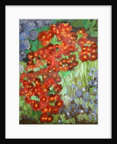 Cornish flowers, 2014 by Cosima Duggal