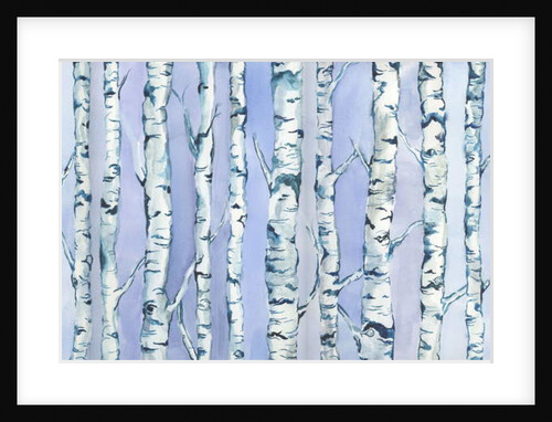 Silverbirch Forest, 2018 by Elizabeth Rider
