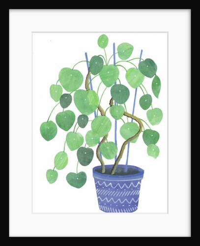 Pilea plant, 2017 by Elizabeth Rider