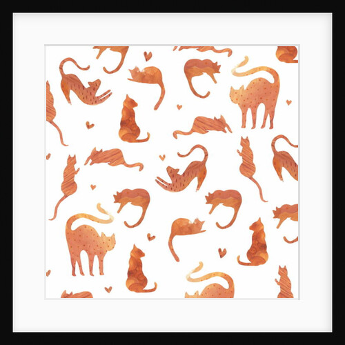 Ginger Tomcats, 2017 by Elizabeth Rider