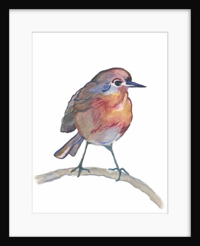 Robin, 2017 by Elizabeth Rider