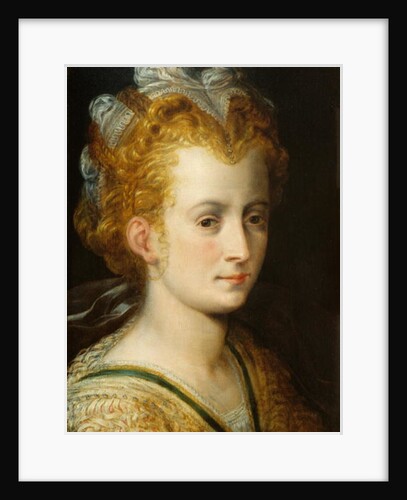 Head of a Young Woman, c.1555 by Frans Floris